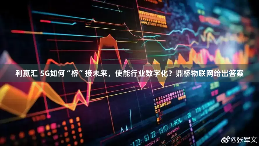利赢汇 5G如何“桥”接未来，使能行业数字化？鼎桥物联网给出答案