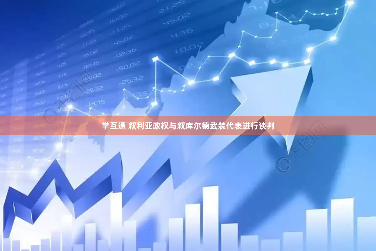 掌互通 叙利亚政权与叙库尔德武装代表进行谈判