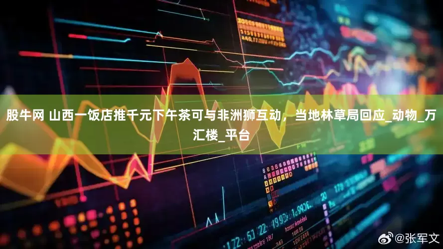 股牛网 山西一饭店推千元下午茶可与非洲狮互动，当地林草局回应_动物_万汇楼_平台