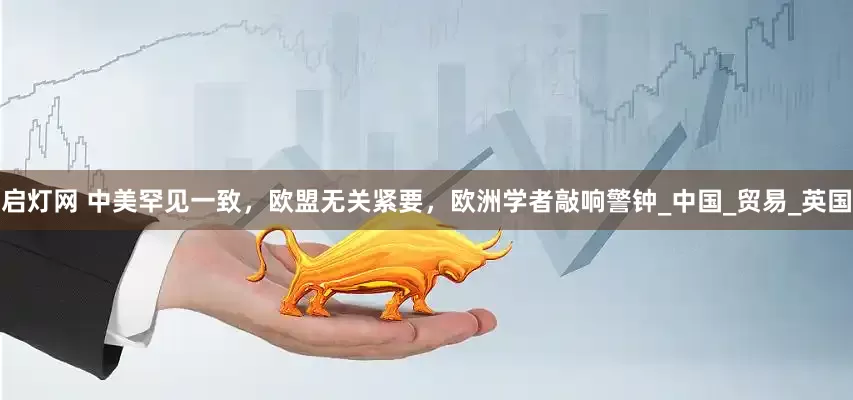 启灯网 中美罕见一致，欧盟无关紧要，欧洲学者敲响警钟_中国_贸易_英国