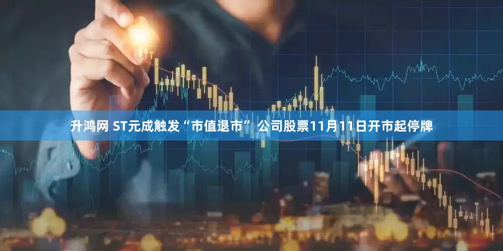 升鸿网 ST元成触发“市值退市” 公司股票11月11日开市起停牌